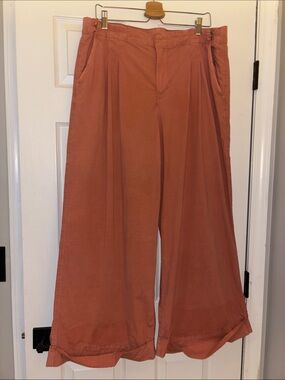 AE | Poplin Pull-on Pants. Relaxed Wide-Leg woman’s Pants in Rust, 16